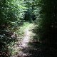 irgendwo dazwischen