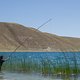 Mit dieser überdimensionalen Angelrute schleudert der Fischer riesige Fische an Land