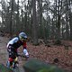 IMG 1264