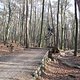 IMG 1557