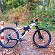 Nukeproof Scout 290 XL RAW
