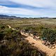 Morgen erwartet die TeilnehmerInnen erneut eine harte Etappe: 89 Kilometer und 2650 Höhenmeter gilt es rund um Stellenbosch zu überwinden