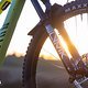 Canyon Spectral 2024 Details PSturm-13