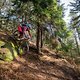20250315-05 Zittauer Gebirge
