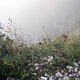 2013-10-20-Frontsteige-S155-DSCN4366