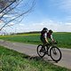 IMG 6581