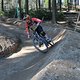 IMG 8890