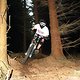 Close2Tree