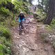 Roatbrunn-Trail
