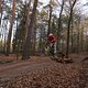 IMG 1956