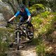 Ausflug mit dem Banshee Rune in den Schwarzwald