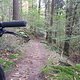 runterpfaden