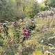 IMG 20241012 164540