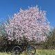 Mountainbike-Fahrt am Morgen