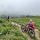 IMG 8536