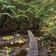 BC Squamish - Entrails