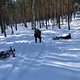 Schneeballschlacht