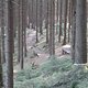 IMG 0996Large 1272301630