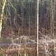 P1290482-