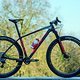 Hardtail: Ultimate 29