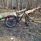 Radon Slide 150 Custom SL