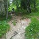 Bike 2013-053