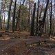 IMG 1772