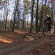 IMG 1773