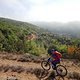 TransVerdon2016 (240)