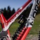 MTBNews