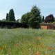 Rettet die Bienen Wiese by wusel