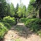 DSCN0537