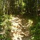 DSC03342