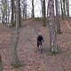 IMG 0515