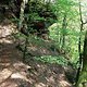 DSCF3712b