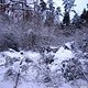 IMG 6303