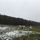 Englische Portrinder