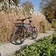 L1000015 (MTB-News)