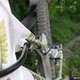 TrialDM26Zoll2010-FINALE-41