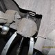 IMG 6195