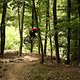 IMG 0290