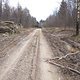 IMG 20150411 140029