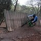 IMG 1274