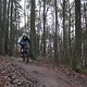 IMG 1360