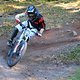 IMG 4131