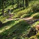 20160717-36L Goldsee Trail