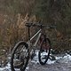 IMG 1567 opti