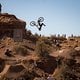 Tyler McCaul rides during finals at the Red Bull Rampage in Virgin, Utah, USA on October 12, 2024. // Christian Pondella / Red Bull Content Pool // SI202410130017 // Usage for editorial use only //