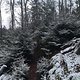 Entfesselter Morgenlauf :-)
Mega Zeit 1:00:01. Den Punkt weniger hätte ich sehr gerne gehabt für eine 0:59...
