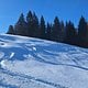 erste kleine Skitour der Saison  mit - Überraschung! - pulvriger Abfahrt